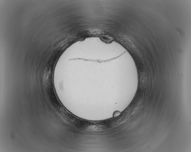 X0000112980364200909241225