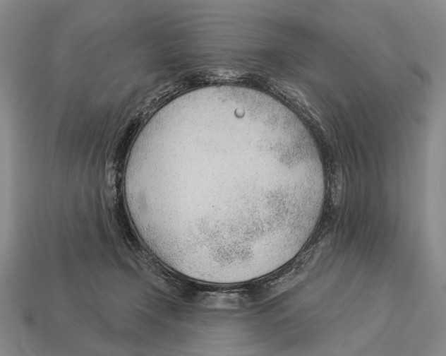 X0000112980366200909241225