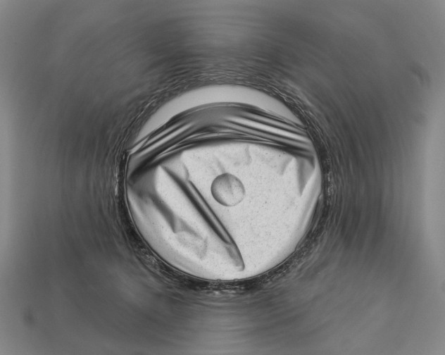 X0000112980368200909241225