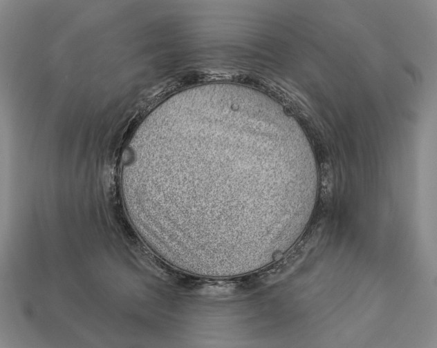 X0000112980369200909241225