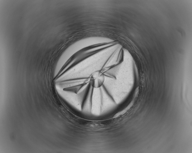 X0000112980372200909241225