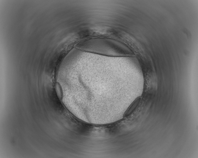 X0000112980376200909241225