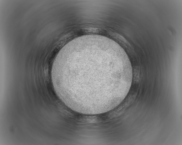 X0000112980377200909241225