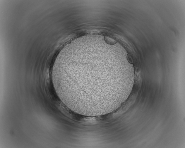 X0000112980381200909241225