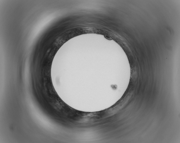 X0000112980382200909241225