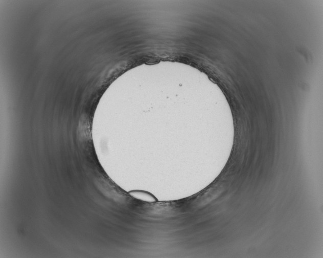X0000112980384200909241225