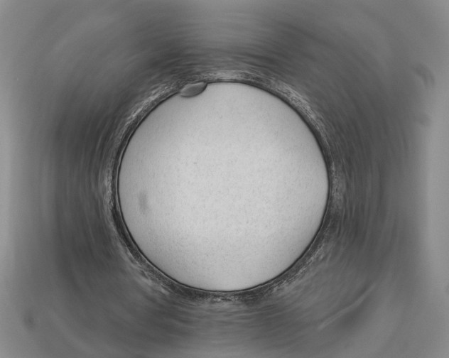 X0000112980386200909241225