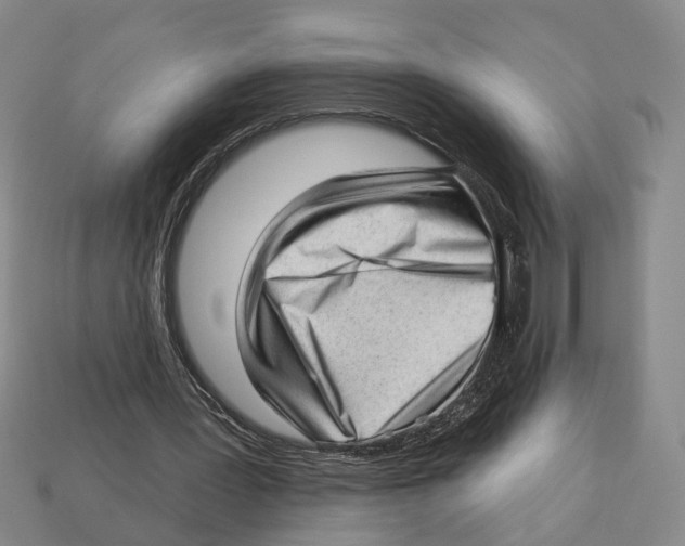 X0000112980387200909241225