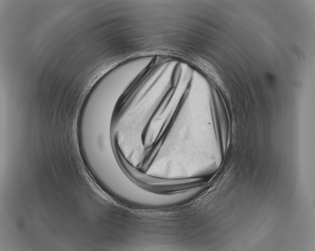 X0000112980389200909241224