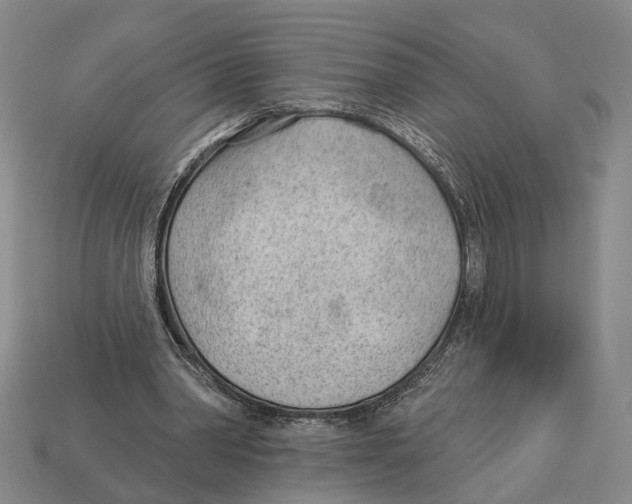 X0000112980390200909241224