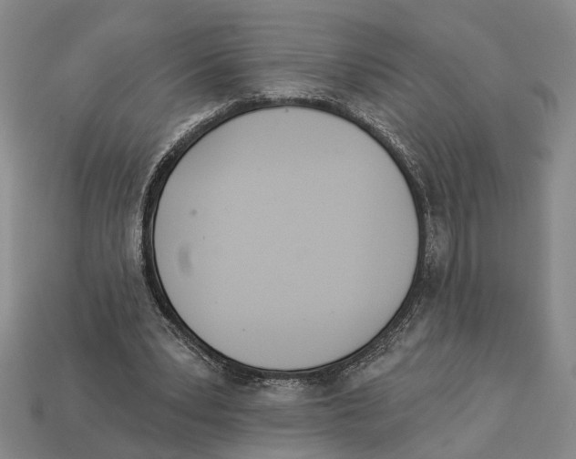 X0000112980391200909241224