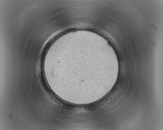 X0000112980392200909241224