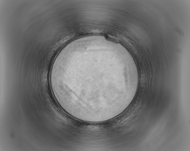 X0000112980394200909241224
