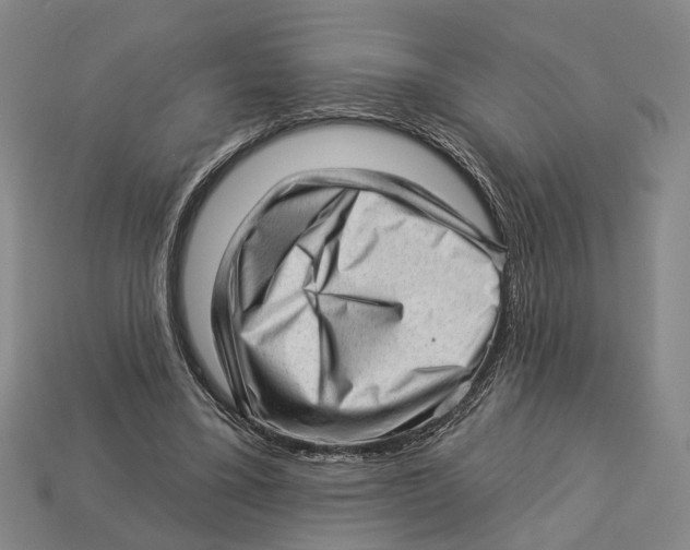 X0000112980395200909241224
