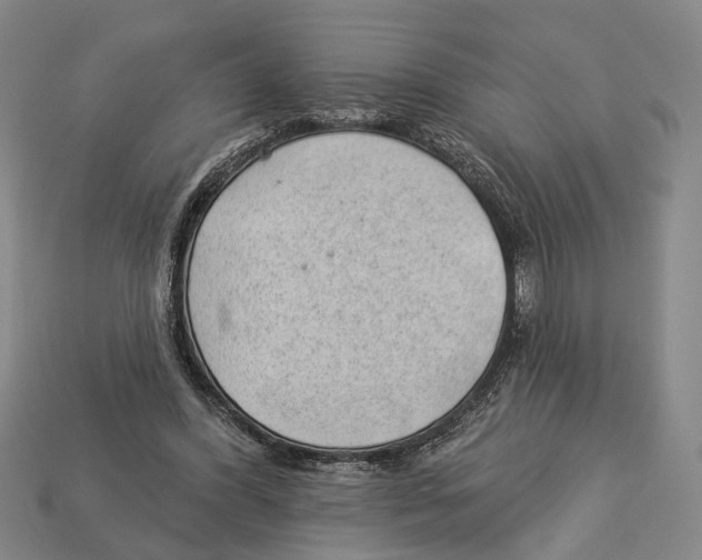 X0000112980396200909241224