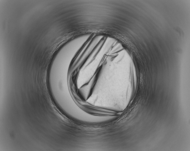 X0000112980397200909241224