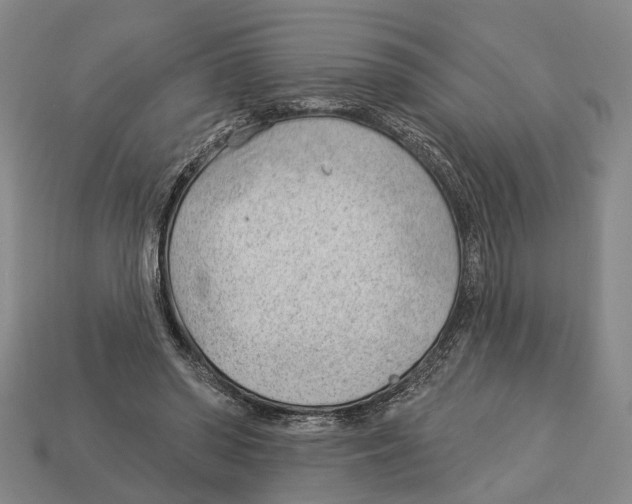 X0000112980398200909241224