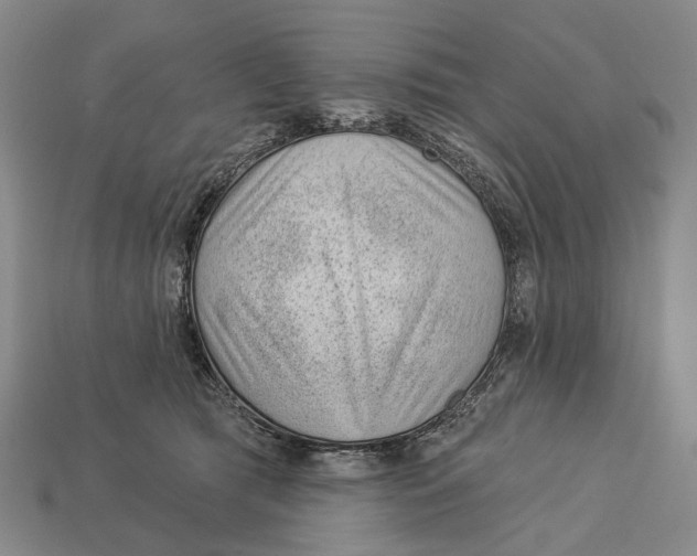 X0000112980417200909241224