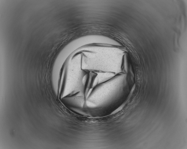 X0000112980419200909241224
