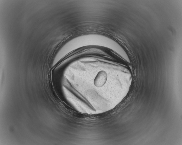 X0000112980423200909241224