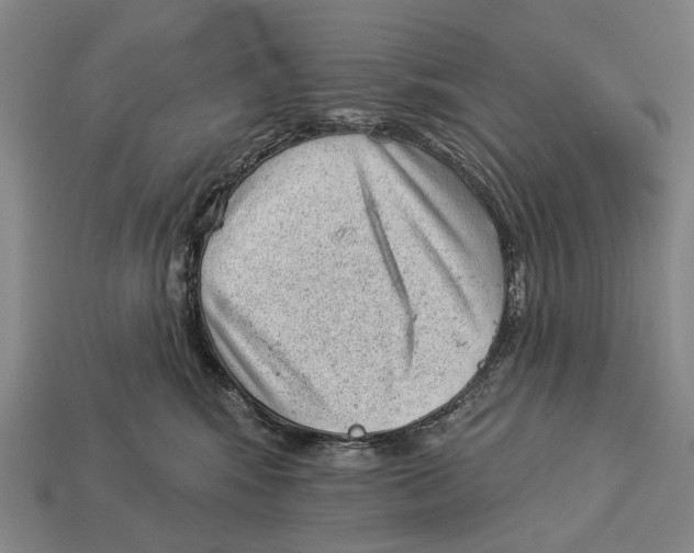 X0000112980424200909241224
