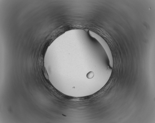 X0000112980425200909241224