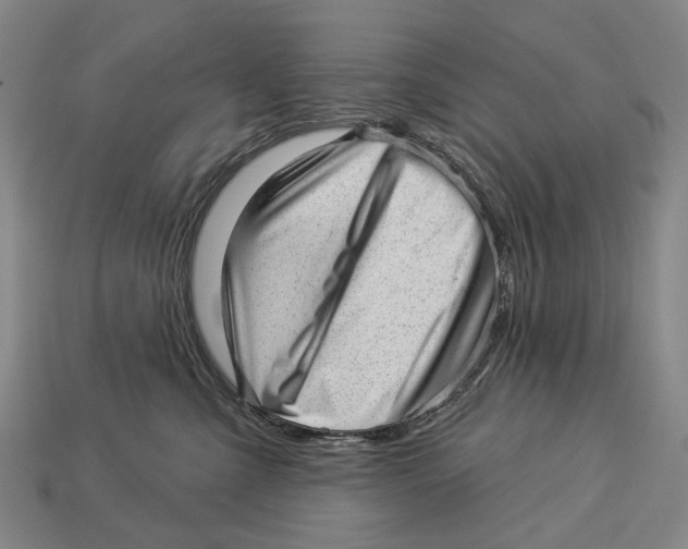 X0000112980427200909241224