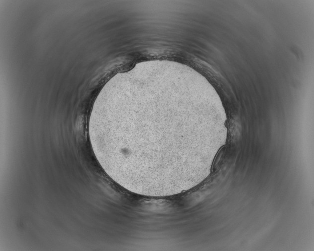 X0000112980428200909241224