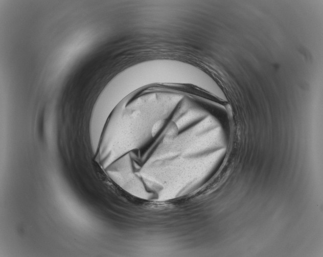 X0000112980429200909241224