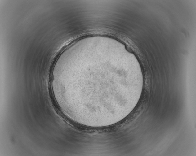 X0000112980434200909241223