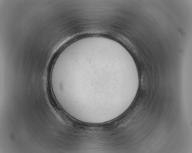 X0000112980436200909241223