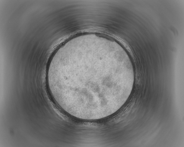 X0000112980437200909241223
