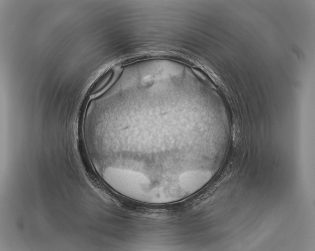 X0000112980438200909241223