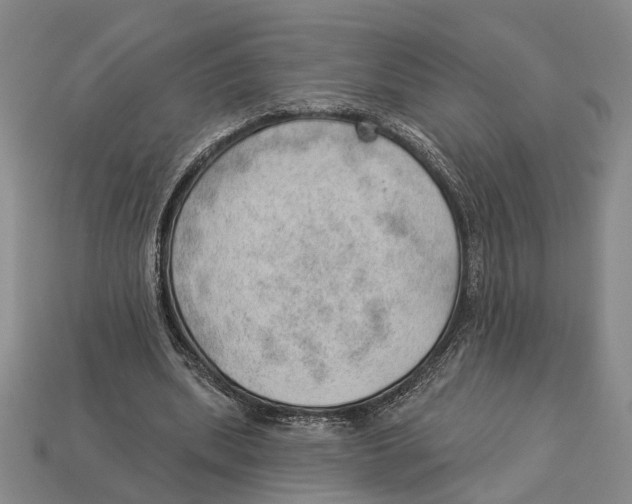 X0000112980439200909241223