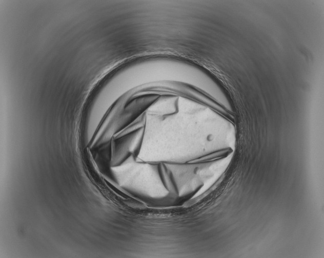 X0000112980440200909241223