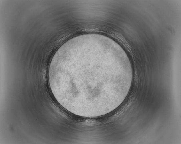 X0000112980441200909241223