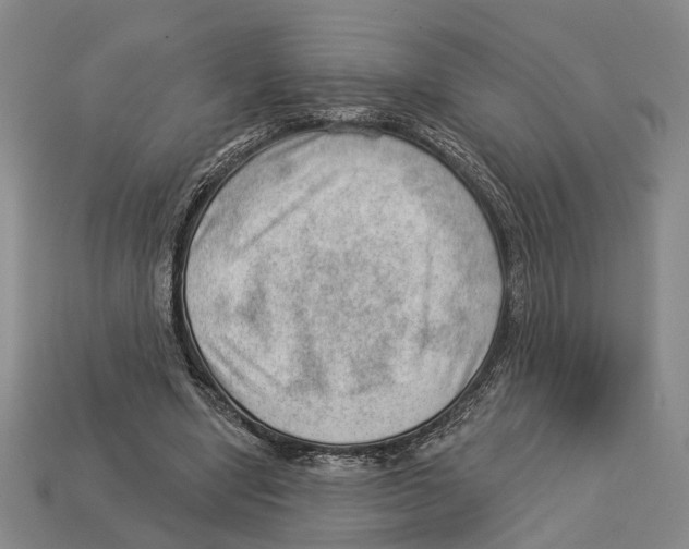 X0000112980442200909241223