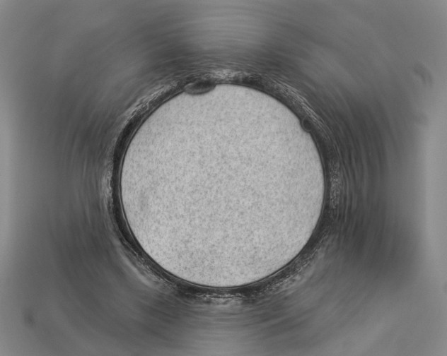 X0000112980443200909241223