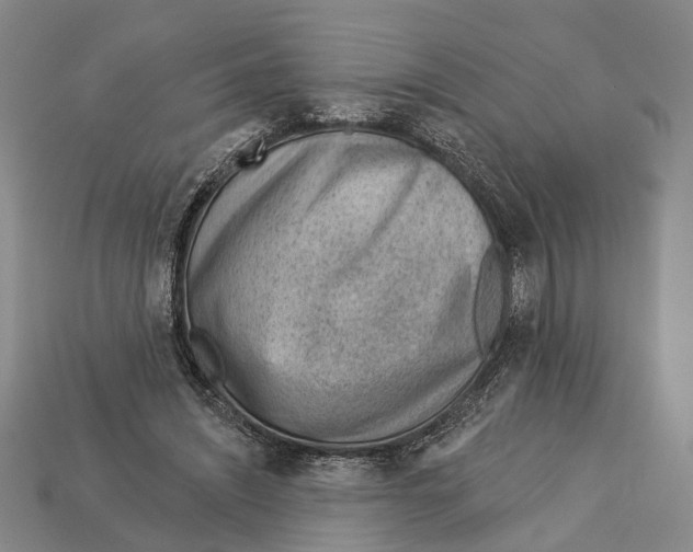 X0000112980444200909241223