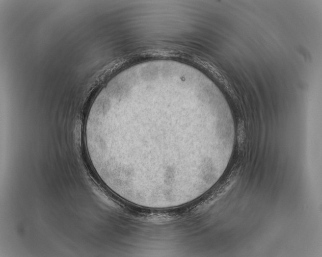 X0000112980445200909241223