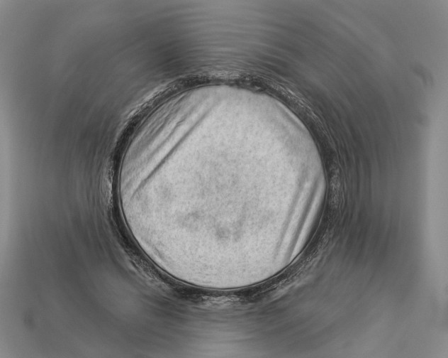 X0000112980446200909241223