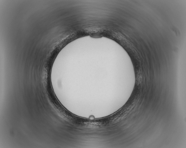 X0000112980448200909241223