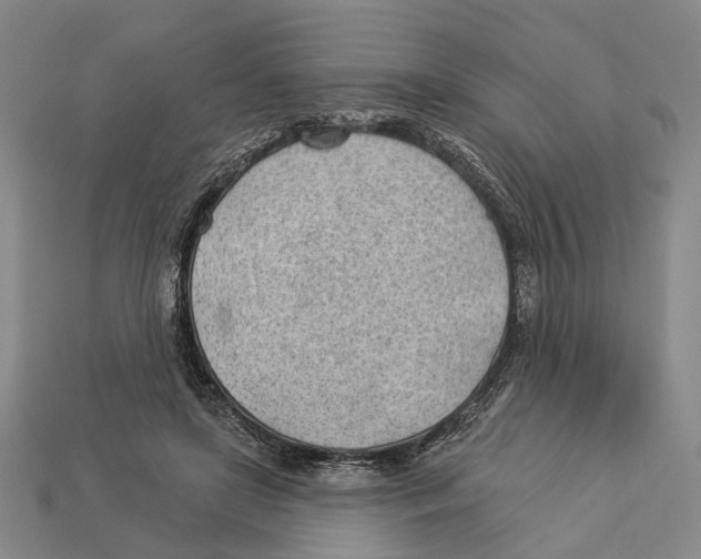 X0000112980451200909241224
