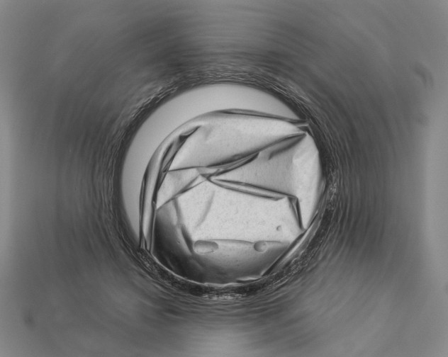 X0000112980452200909241224