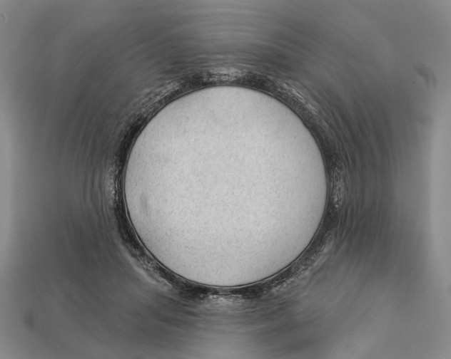 X0000112980455200909241224