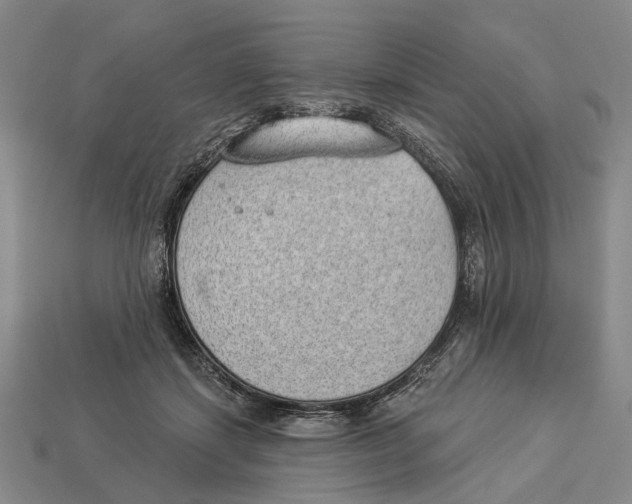 X0000112980459200909241224