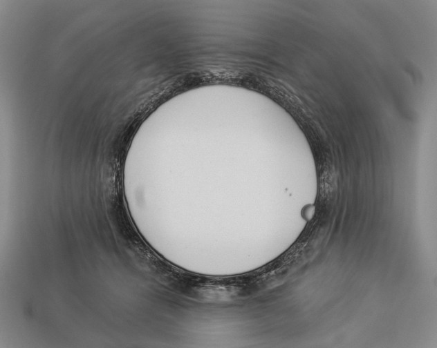 X0000112980464200909241224