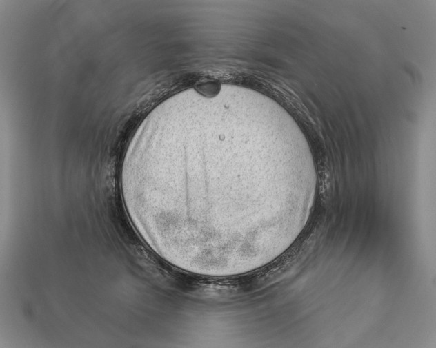X0000112980466200909241224