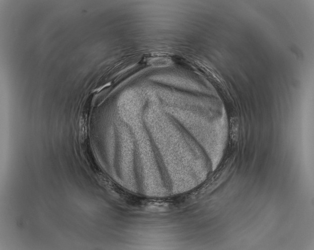 X0000112980471200909241224