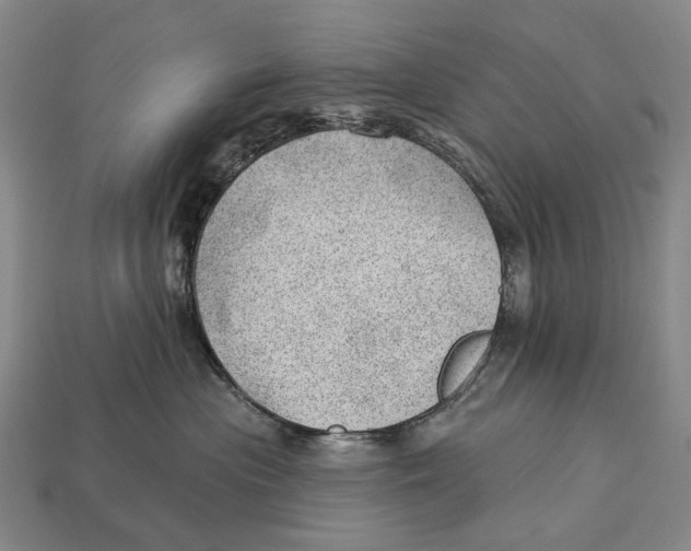 X0000112980477200909241224